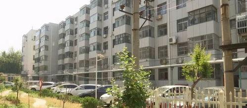 闵行丽园小区爆料事件最新 第2张 闵行丽园小区爆料事件最新 第2张